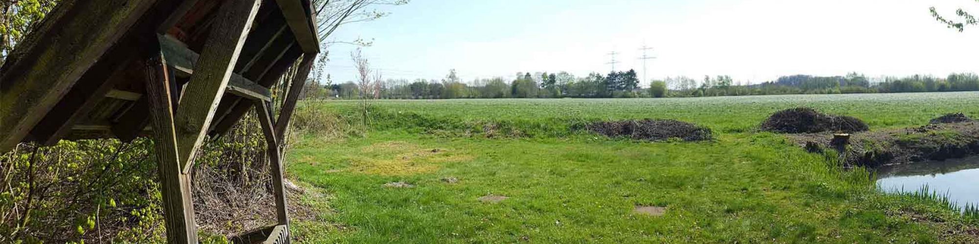 König - Schützenkönig - WAKALUBA-Club - Startbild König